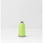 Madeira Polyneon No  40 Polyester Embroidery Thread 1100yd 1748 Margarita Lime