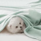 Fleece Blanket Queen Size Super Soft Flannel Throw Blanket Lightweight Fuzzy    