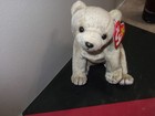 Ty Beanie Baby 1999 Almond The Bear  Mwmt - W tag Protector