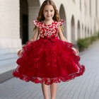 Girls Kids Princess Tutu Dress Formal Flower Wedding Pageant Gown Birthday Party