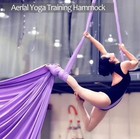 Deluxe Aerial Silks Equipment Set - 11 Yards Yoga Hammock Swing For Acrobatic