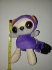 Raccoon Halloween Plushl Large Eyes Cat Hat Dan Dee Collectors Choice 7 