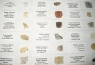 Geological Formation 25 Thin Section Slides Precambrian To Miocene Fossils Rocks