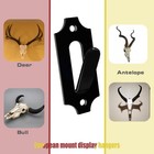12 Pack Small European Mount Skull Hanger   Deer Skull Mount Hanger