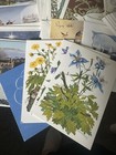 Lot Of 45 Greeting   Blank Note Card Assortment W envelopes Current Charity Etc 