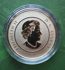 2015 Canada Fine Silver 25 Dollar Proof Coin - Royal Canadian Mint 7 96 Grams