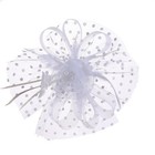 Fascinators Hat Flower Mesh 20s 50s Pillbox Hat Cocktail Tea Party For Women    