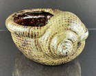 Vintage Conch Seashell Planter Bowl Pot 9    Brown Drip Glaze Ceramic Pottery