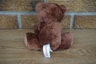 Aurora Plush Floppy Brown Bear 6  Bean Bag Small Doll Stuffed Animal Tan Toy