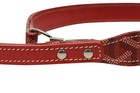 Goyard Dog Leash Collar Strap Red Hand Paint Coated Canvas Pet Accessories
