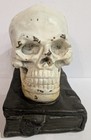 Antique 1920 s Armor Bronze Co  Ny  Human Skull Bookend Dr Medical Office Metal 