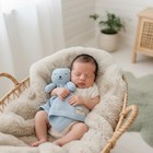 Organic Plush Lovey Security Blanket     Ultra-soft Comfort Blanket For Newborn   