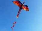 New Classical Dragon Kite 140cm X 120cm Single Line With Tail And Flying Tool   