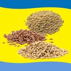 Premium Parakeet Food Blend 5lb Nutritious Bird Diet In Jar