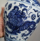 Rare Chinese Collectable Art Hand Blue White Porcelain Lion Mei Vase