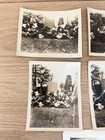 Vintage 1940s 1950s Cemetery Grave Photos Lot Of 5 Graves Family Burial Plot