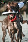 Avery Greenhead Gear Ghg Flasher Hexa Bumper  6 Pack Dog Training Throwing Dummy