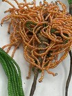 Vintage French Glass Seed Beads Hand Beaded Flowers   Leaves Lot Of  7 Htf
