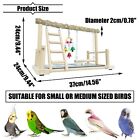 Bird Playground Parrots Play Stand Parrot Perch Gym Playpen For Cockatoo Conure