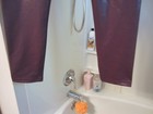 Nwot Women s Active Wear Capri Pants Zyia Active Size 8-10 Shiny Purple Color