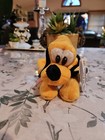 Nwt Disneyland Disney Mouseketoys Pluto Plush Bean Bag Toy 9 