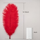 10pcs Natural Ostrich Feathers Plumes 14-16inch35-40cm For Craft Flower Arran   