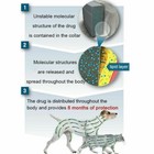 2pack 8-month Fleatick Prevention Collar For Cats