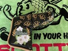 Scotty Cameron 2016 Flowers   Crowns Headcover 
