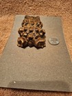 Vtg Japanese Crypotmeria Frog Hand Carved Cedar  Wooden Toad Glass Eyes Sugi 