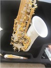 Brand New Alto Saxophone A-992 White Gold Key Sax Professional With Case