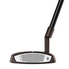 Taylormade Spider Tour Torched Pvd   2026 New