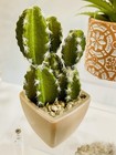 Mini Artificial Cactus Lot Of 7 In Pots Home Store Decor