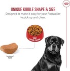 Royal Canin Breed Health Nutrition Rottweiler Adult Dry Dog Food 30lb