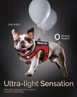 Service Dog Vest For Small Dogs - Breathable Esa Harness With Diy Patches   Leas
