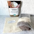 Bear Creek Sheep Needle Felting Wool Kit Teresa Perleberg Beginner New