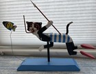 Handmade Wooden Folk Art Cat Articulated Arms And Legs Spearfishing In Swim Suit