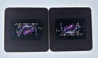 6 Original Lost In Space Stamped 35mm Press Kit Slides Oldman Hurt Chabert