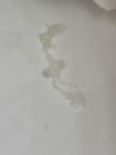 Pyrantel Pamoate 50mg ml Liquid Dewormer 32 Oz - Detoxing Solution For Pinworms