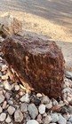  new Pictures Added  - Gorgeous 90lb Piece Of Rainbow Petrified Wood
