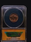 1913 Anacs Ms62 Buffalo Nickel Coin Var 1 Obverse Lamination