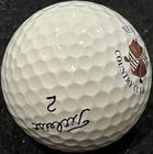 New Albany Country Club Golf Course Logo Ball Columbus  Oh