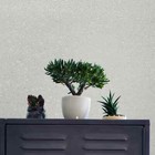 White Cream Chip Stone Real Natural Mica Textured Wallpaper Plain