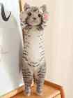 Kitten Tabby Cat 10  Pillow Stuffed Animal Plush Toys Toddler Doll Kids Gifts