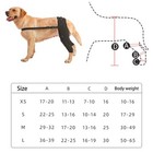 Dog Leg Support Brace Rear Leg Knee Brace Hip Joint Support Dog Leg Brace