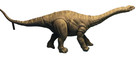 Jurassic World Legacy Collection Apatosaurus By Mattel 41  Head To Tail