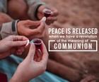 Pre-filled Communion Cups And Wafer Set - Box Of 100 Gluten Free