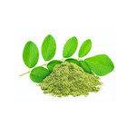 Dried Moringa Leaf Powder 100  Organic Pure Natural Superfood Immunity Tea Fresh