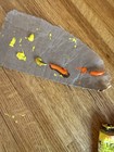 4 Four Tubes Of Yellow Orange Vintage Winsom Newton Oil Paint Tubes