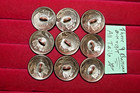 9 Genuine Us Buffalo Indian Head Nickel Domed Shank Coin Buttons 3 4 4  Ship 