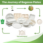 Disposable Paper Bowls 100  Compostable 8 Oz  500ct Bagasse Everyday Bowls - Fpn
